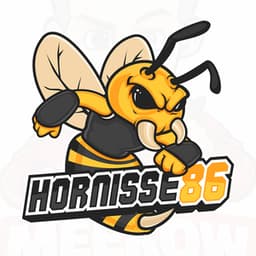 Hornisse86